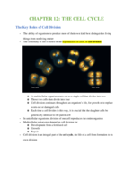 Chapter 12: The Cell Cycle