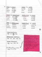 Intro to Lingustics 3372 Midterm Review