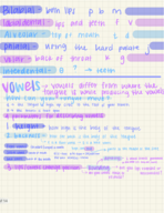 Linguistics week 3 Notes part 2