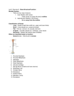 Anatomy & Physiology I Lab; Week 5; Exercise 8