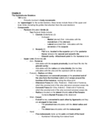 Anatomy & Physiology; Week 7; Chapter 8