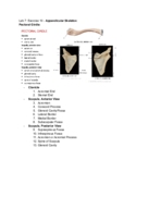 Anatomy & Physiology Lab; Week 7, Exercise 10