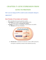 Chapter 17: Gene Expression: From Gene to Protein