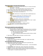 Week 4 Notes (Plastic Marine Debris in Great Lakes)