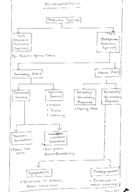 Anatomy Medical