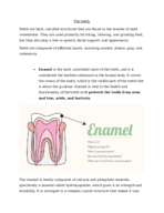 biol 2107:the teeth and dentition