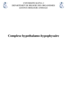 Endocrinologie fonctionnelle