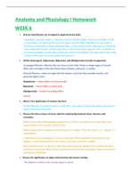 Anatomy and Physiology I Homework Week 6