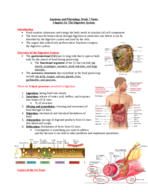 Anatomy and Physiology Week 7 Notes