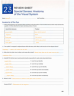 LAB ANSWERS: Don't Struggle with Special Senses Anatomy - Let Our Worksheet Answers Be Your Guide