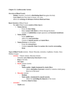 Chapter 21; Cardiovascular System; Veins, Arteries, Capillaries