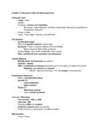 Chapter 5; Eukaryotic Cells and Microorganisms