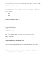 Ecology and Evolutionary Biology/Molecular Biology 214 Notes pages 7-8