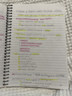 chapter 6 notes: bones and bone structure