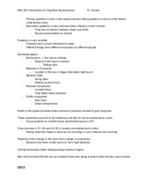 NEU 202 Introduction to Cognitive Neuroscience Study Guide 2