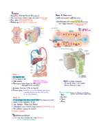 Week 4 Lecture notes