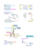 Week 7 Lecture notes