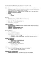 Introduction to Microbiology Chapter 8, Week 8