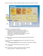Introduction to cellular and molecular biology study guide 1