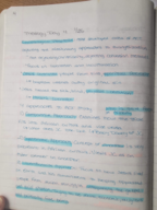 Week 3 Notes