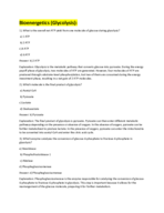 Bioenergetic (Glycolysis) Quiz