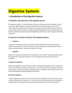 digestive system of human