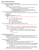 Module 10 - Oxidative Phosphorylation