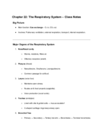 Week 5 Chapter 22 Respiratory System 