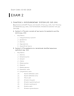 Exam 2 Study Guide
