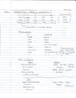 GER 112, Week 4 Notes