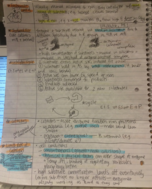 Gen Bio 1 Week 5 Notes