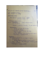 Week One Lecture Notes 