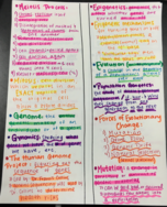 Exam 2 Study Guide