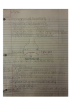 Bio 361 Week 6 Notes