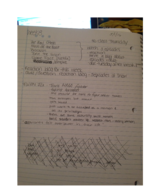 Comm 205 Week 8 Ch 11 Notes