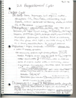 2.8 Biogeochemical Cycles 