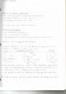 Microeconomic Principles - Week 8