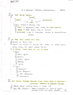 Ch. 2 - Developing Marketing Strategies/Plans Notes