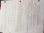 Cognitive Psychology - Week 8 Notes