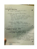 COMM 320 Week 8 Notes