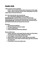 The Shoulder Girdle notes 