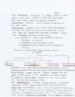 Week 6 Notes