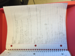 ECON251 Week 6 Notes - Professor Blanchard
