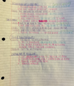 A&P | Week 6 