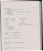 Organic Chemistry, Week 3 Notes 