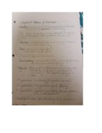 Week 8 notes