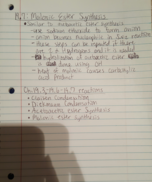 Test 2 week of notes