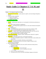 Study Guide 2: Chapters 5, 7, 8, 10, and 11