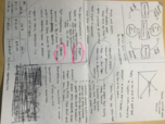 Study Guide Part 2