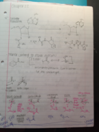 Week before Spring Break Notes